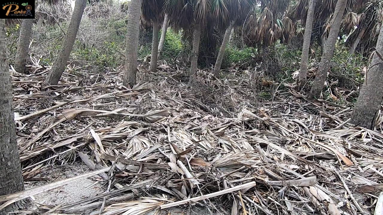 FLORIDA POTA at Egmont Key US-1863 and US-0238