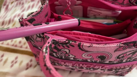 What’s in my Milanchiva Pink Bag from Amazon.