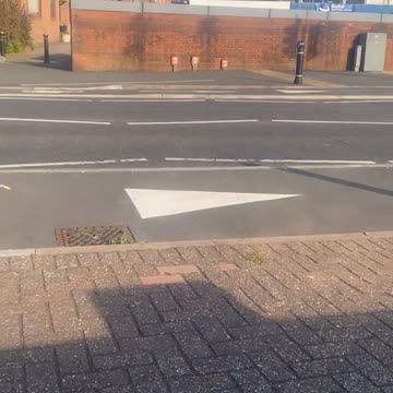 Got a fiver on how many views it’ll get #fyp #birdlife