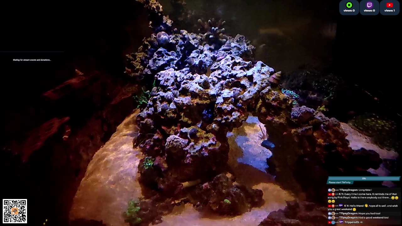24/7 Real Live Reef Stream