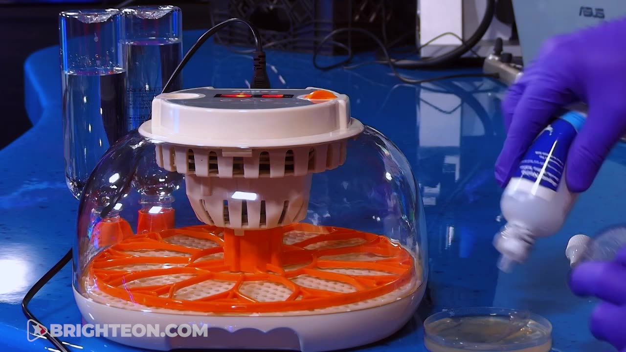 We incubated the chemtrails fallout samples and SOMETHING CAME TO LIFE