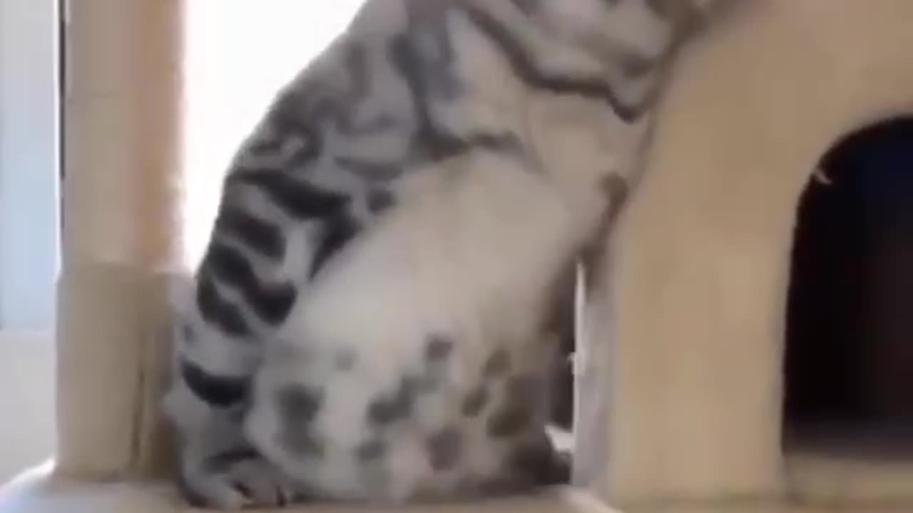impossible mission