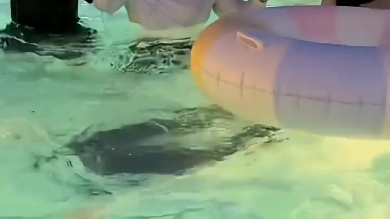 Rumble challenge⁉️