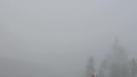 FOGGY BAGUIO The city's cool and romantic weather is enhanced by the fog that hovers around the city