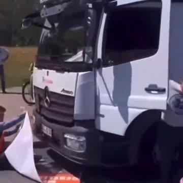 Greta Thunbergs goons vs 56 trucker