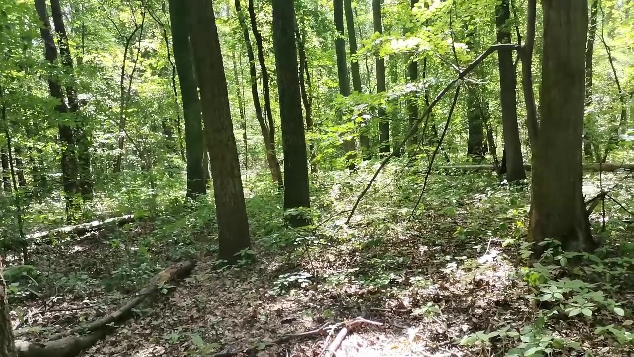 groźny przeciwnik ...