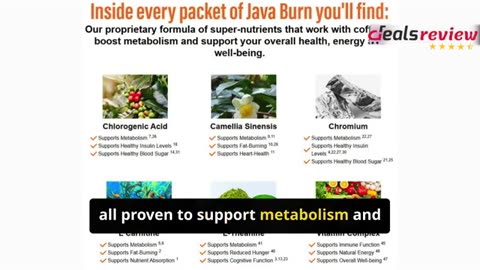 Java Burn: Empty Hype or LIFE-CHANGING? (24hr Update)