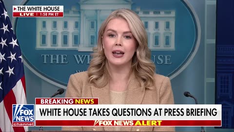 Press Secretary Karoline Leavitt lays out claims of massive fraud in Minnesota: