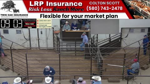 5/28/2025 - Sheep & Goat Auction - Producers Livestock Auction Company