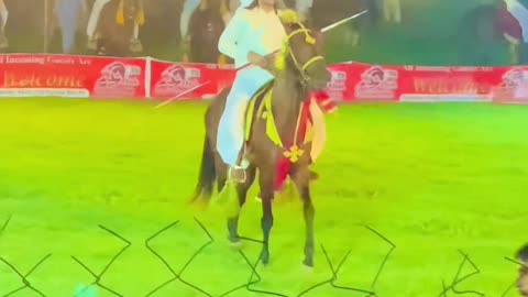 Horse racing 🏇 horse lover