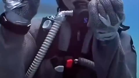 A shark and woman communicating with each other.