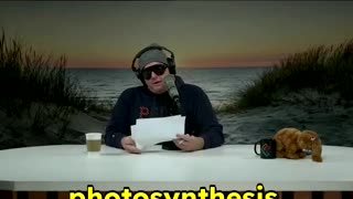 Dubai Crypto Fear & Teacher Jabs - Tim Dillon #criticism #teachers #dubai