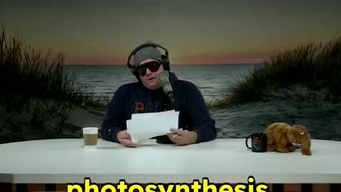 Dubai Crypto Fear & Teacher Jabs - Tim Dillon #criticism #teachers #dubai