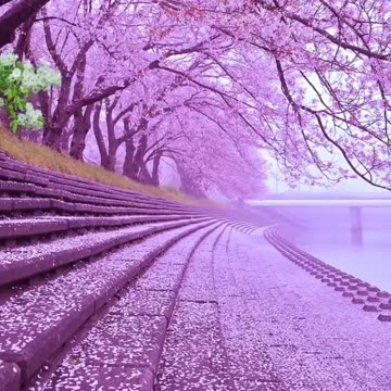 🌸💗 Pink Beautiful Nature – Relax Your Mind!