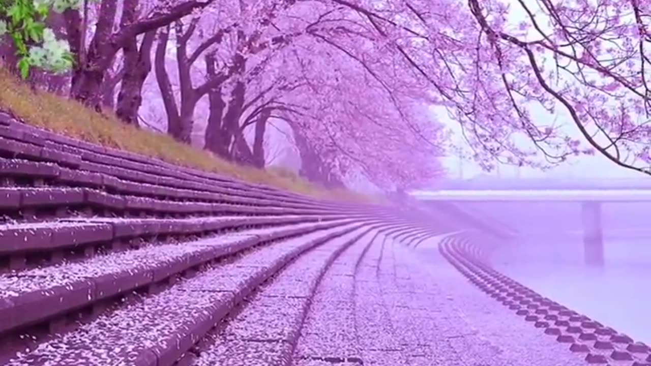 🌸💗 Pink Beautiful Nature – Relax Your Mind!
