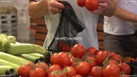 Le Canada Peut Atteindre #zÃ©rodÃ©chetplastique