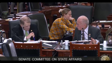 Texas Senate State Affairs Hearing on Texas Sovereignty Act - HB 796 - May 15, 2025