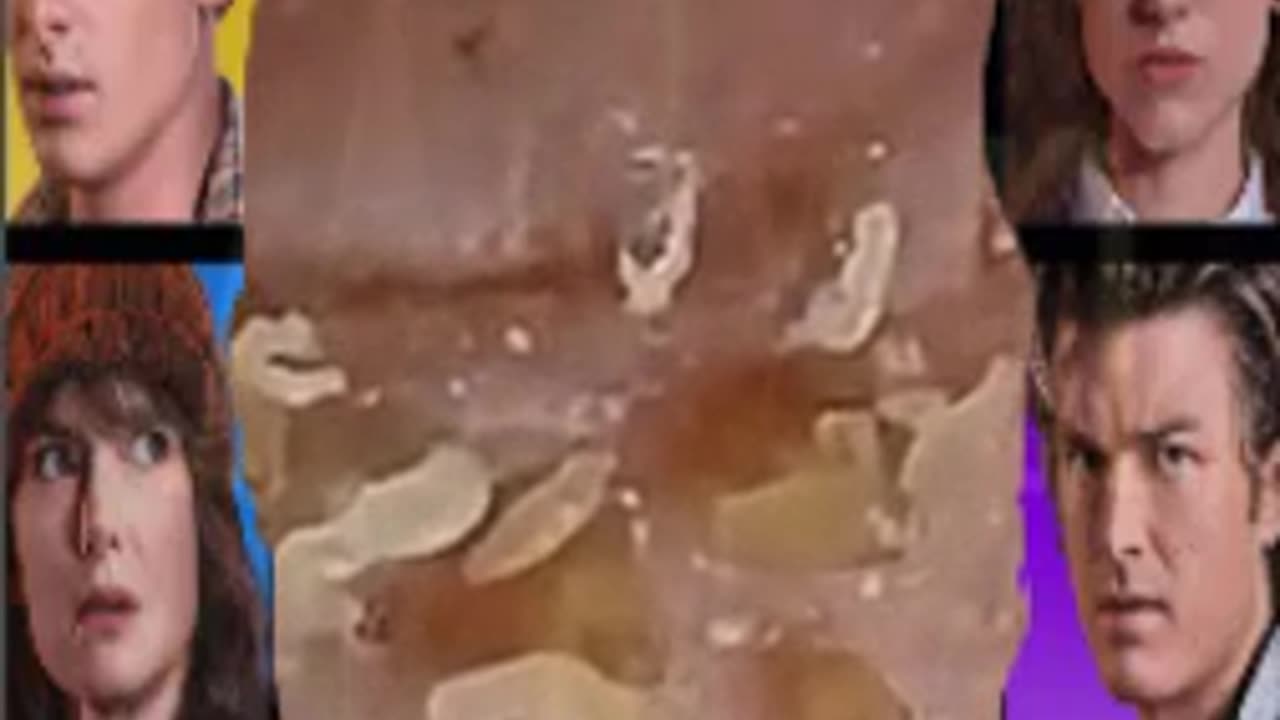 blackhead
