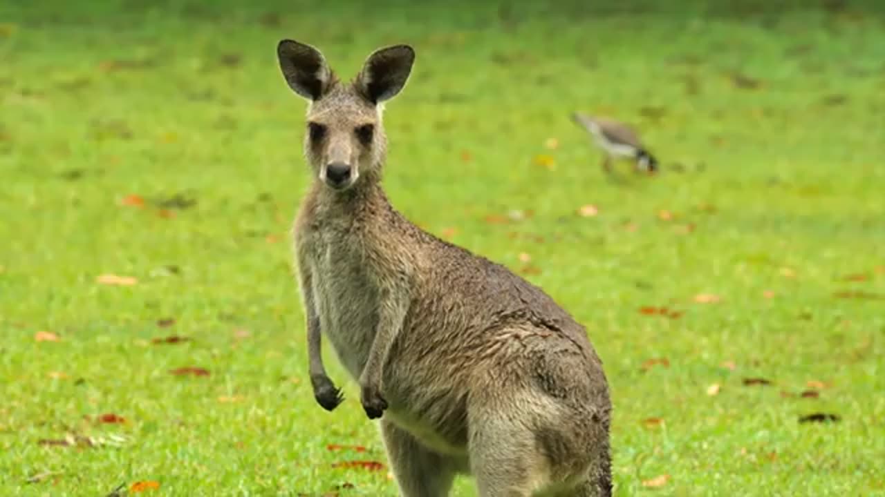 FULL 4K VIDEO FULL HDR VIDEO 📸