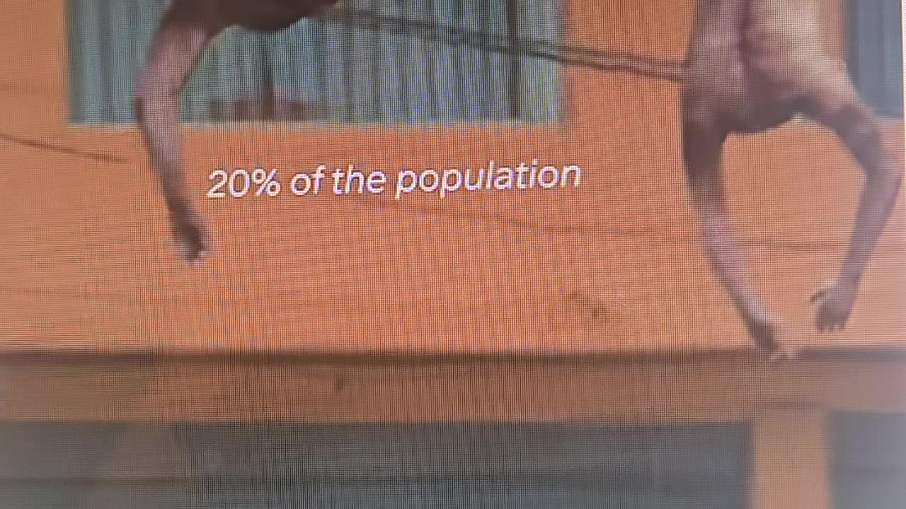 90 days or less....Tick Tock for you rats in the urban & suburban traps.