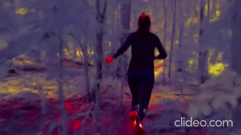 bora correr na floresta ingles