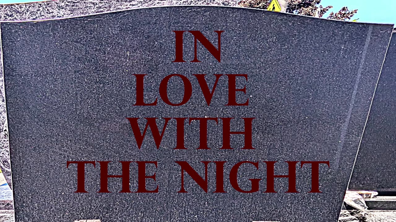 1. In Love with the Night History