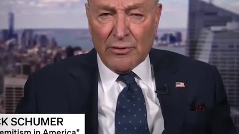 Chuck Schumer admits that judges are actually activists who are there to stop Trump