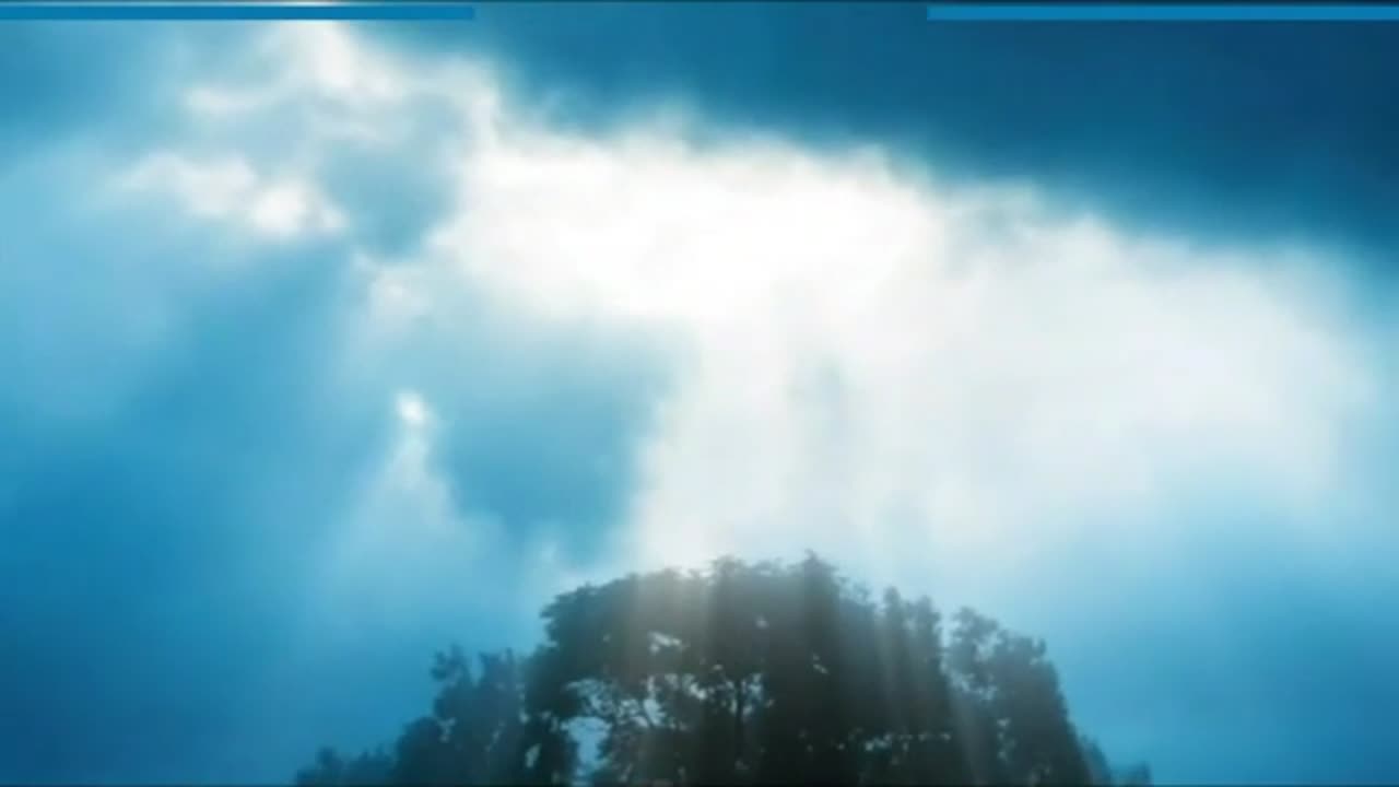 La familia creacion de Dios