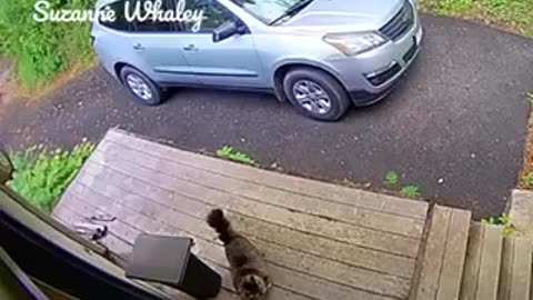 GOOD KITTY!!!!!