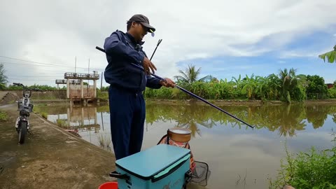 Mussel Net Harvesting in Lake Clear Beds