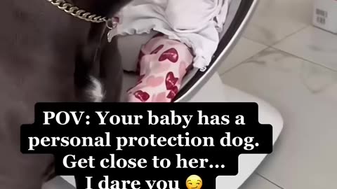 🐶BEST PROTECT for BABY👶