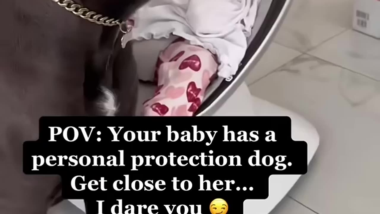 🐶BEST PROTECT for BABY👶