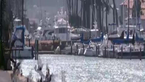 SEVMEKTEN KİM USANIR