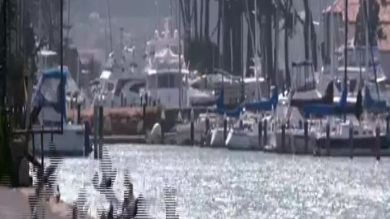 SEVMEKTEN KİM USANIR