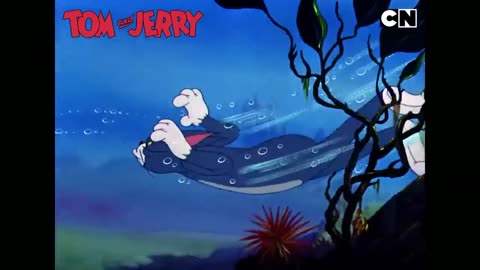Tom & Jerry 80's Cartoon #18