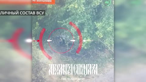 Accurate hit in the burrow to boars.