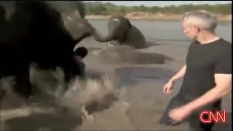 When Animals Attack (Hatebreed - I Will Be Heard)