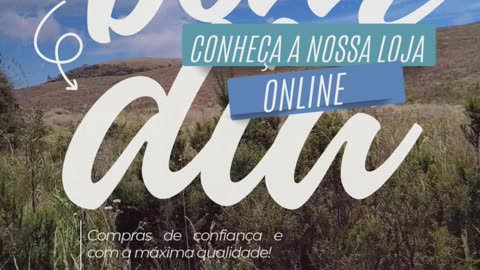 Bom dia operacionais