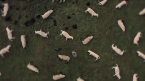 Matrix