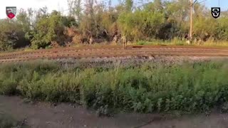 Inside a Ukrainian CCO Squad(Close Combat Operations)