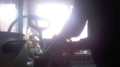 Daily routin honwork alon