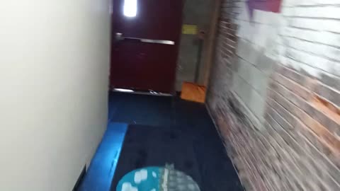 HOW TO THROW A BAG OF GARBAGE INTO A DUMPSTER
