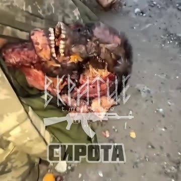 Ukraine war combat footage 9/11/25