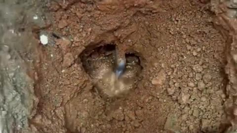 Repairing a Leaking Water Pipe Under the Floor