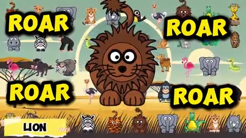 Animals ABC songs