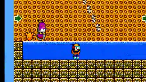 Master System Longplay 159 The New Zealand Story