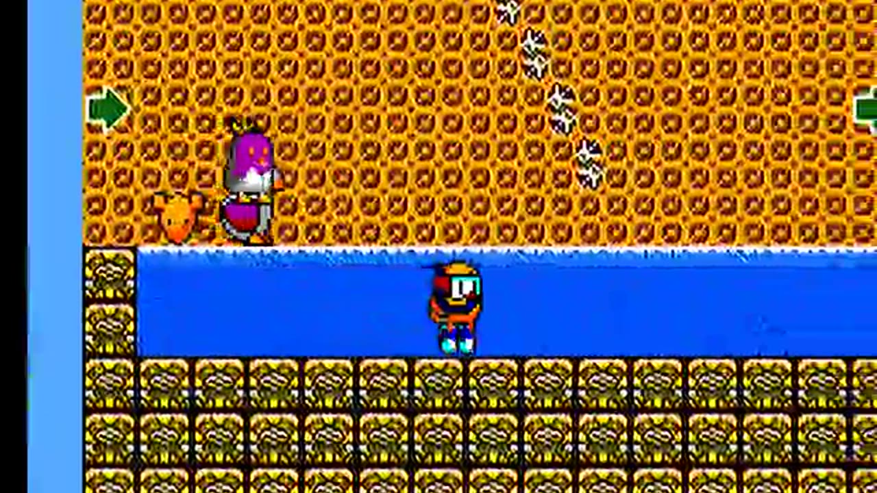 Master System Longplay 159 The New Zealand Story