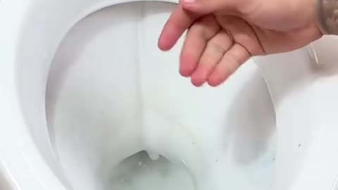 WD 40 no vaso sanitário