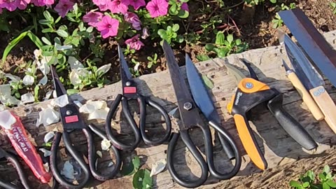 Scissors!