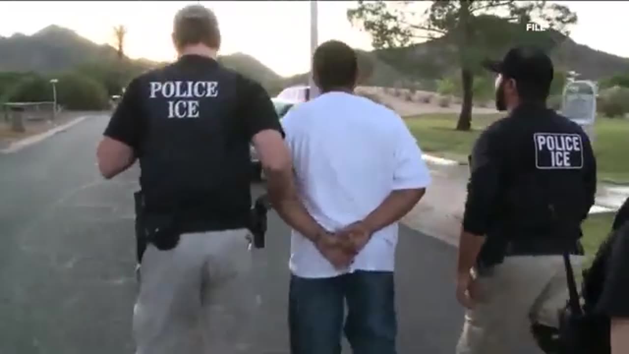MASSIVE: 350,000 Deportations in 7 Months and Counting